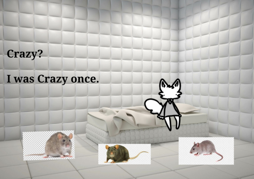ambiguous_gender anthro asylum bed cheek_tuft collar epheral facial_tuft felid feline felis fluffy fluffy_tail fur furniture head_tuft humor mammal meme murid murine no_shading rat rodent scrimbly simple_coloring simple_eyes simple_face simple_legs simplistic tail text tuft white_body white_fur white_tuft