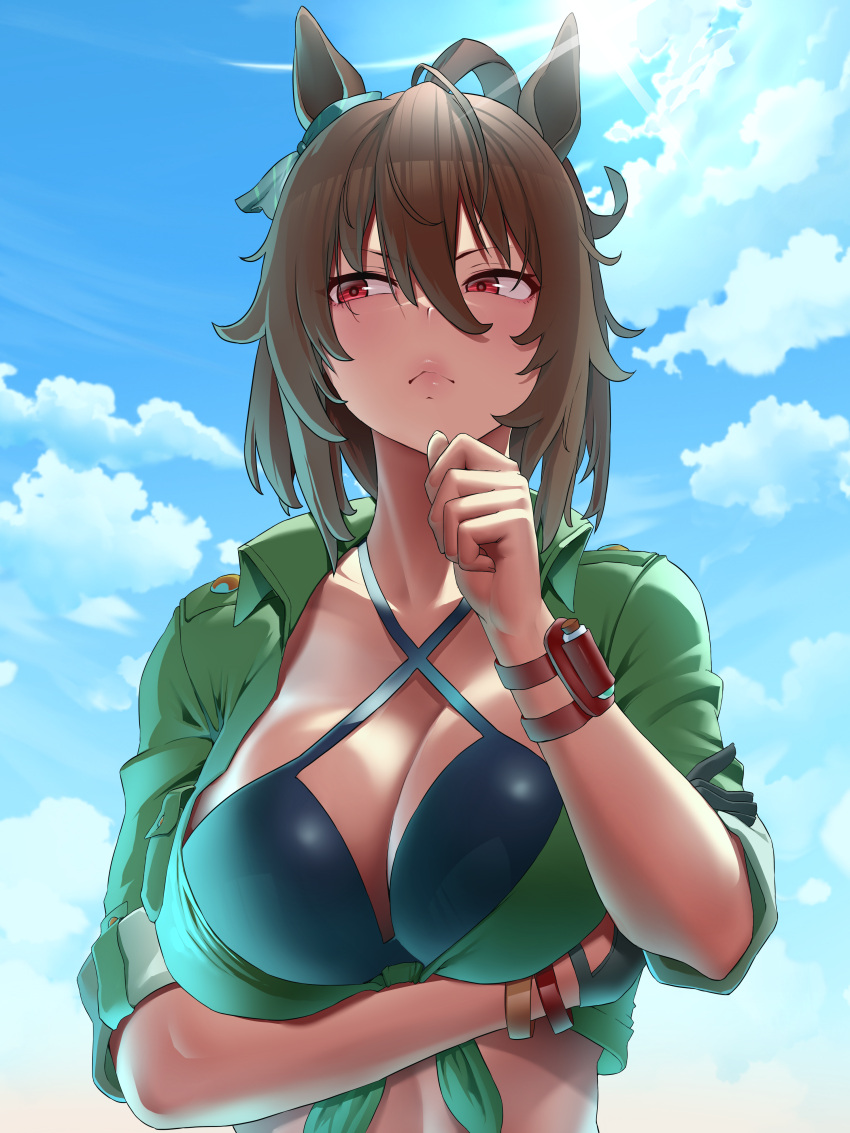 1girl absurdres agnes_tachyon_(lunatic_lab)_(umamusume) agnes_tachyon_(umamusume) animal_ears arm_under_breasts bikini breast_hold breasts brown_hair cleavage cloud green_shirt highres horse_ears horse_girl large_breasts official_alternate_costume official_alternate_hairstyle open_clothes open_shirt outdoors red_eyes shirt sky solo summer's_sunlight_fades_to_blue_(umamusume) swimsuit umamusume yesman