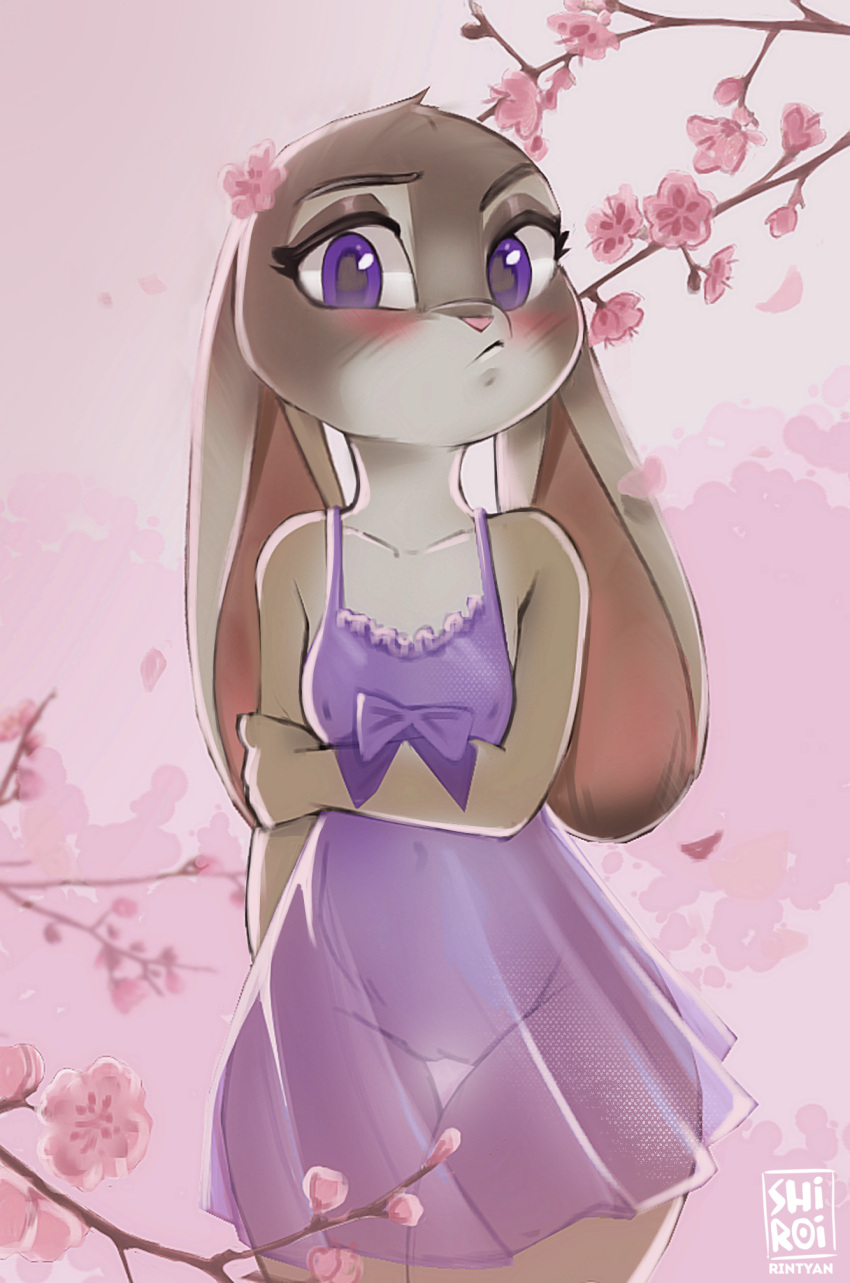 accessory anthro blush bow_(feature) breasts cherry_blossom cherry_blossom_tree cherry_tree clothed clothing digital_media_(artwork) disney eyelashes female flower flower_in_hair fruit_tree fur genitals grey_body grey_fur hair hair_accessory hi_res judy_hopps lagomorph leporid lingerie looking_at_viewer mammal navel nipple_outline nipples outside plant purple_clothing purple_eyes purple_topwear pussy rabbit rin_tyan solo topwear translucent translucent_clothing tree zootopia