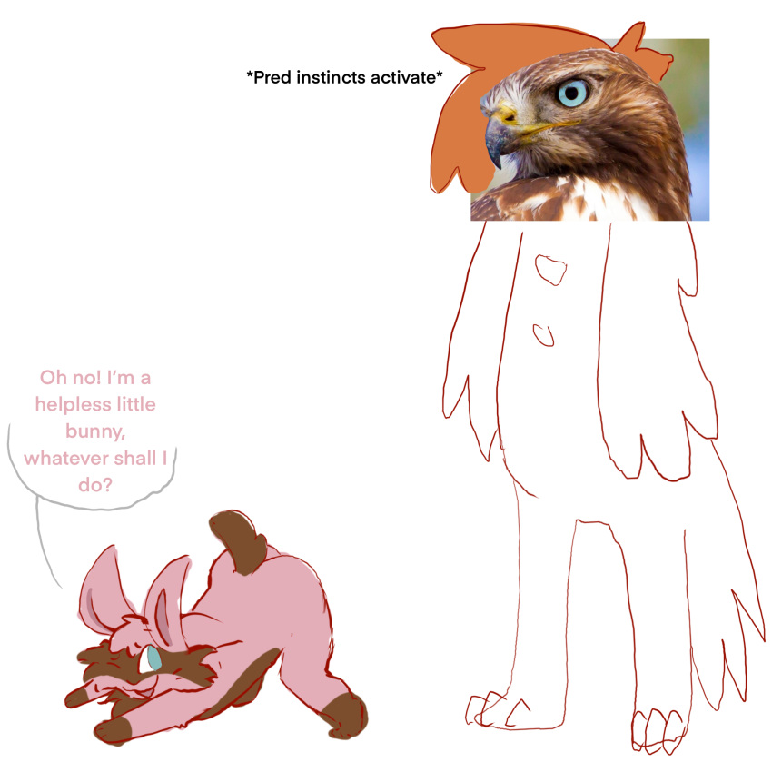 accipitrid accipitriform anthro avian bird butt female hi_res imminent_sex lagomorph leporid male male/female mammal meme predator/prey presenting rabbit skellyroon submissive submissive_female