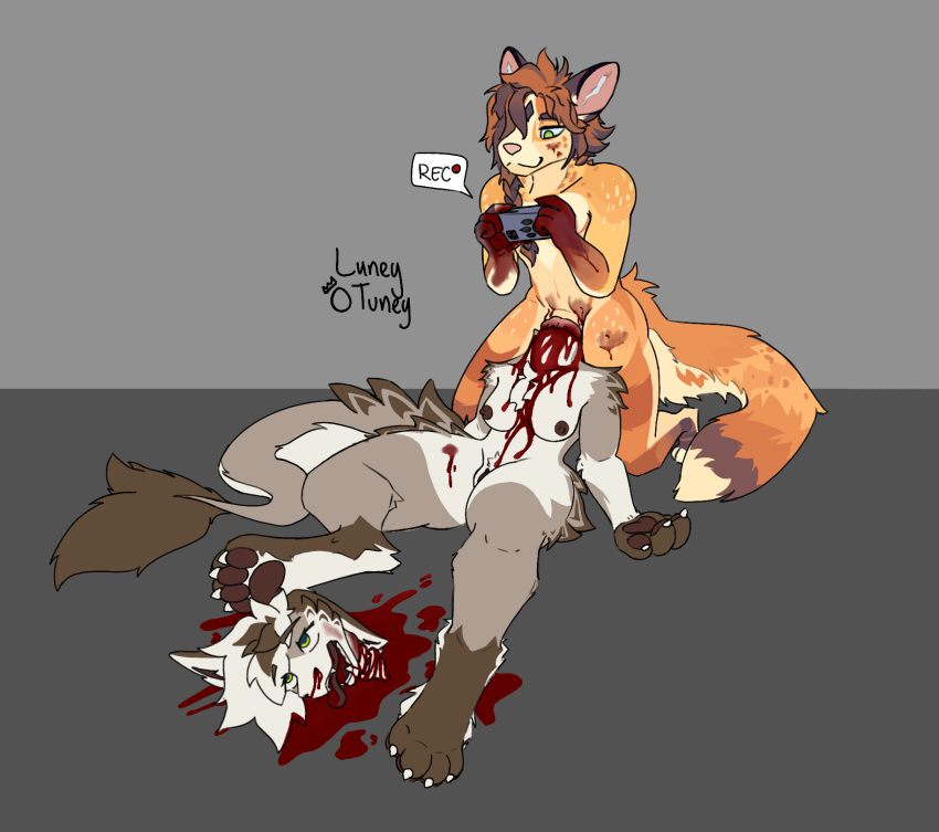 anthro blood blood_pool bodily_fluids canid canine corpse death decapitation deep_throat duo female ferrin fox gore hi_res luneytuney male male/female mammal neck_penetration necrophilia oral recording snuff spine wound_penetration