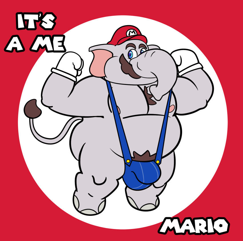 anthro big_(disambiguation) big_bulge blue_eyes bulge clothing elephant elephant_mario elephantid exhibitionism gloves grolarbearsins handwear hat headgear headwear hi_res male male/male mammal mario mario_bros musclegut muscular nintendo overweight proboscidean pubes red_clothing red_hat red_headwear slightly_chubby solo super_mario_bros_wonder white_clothing white_gloves white_handwear