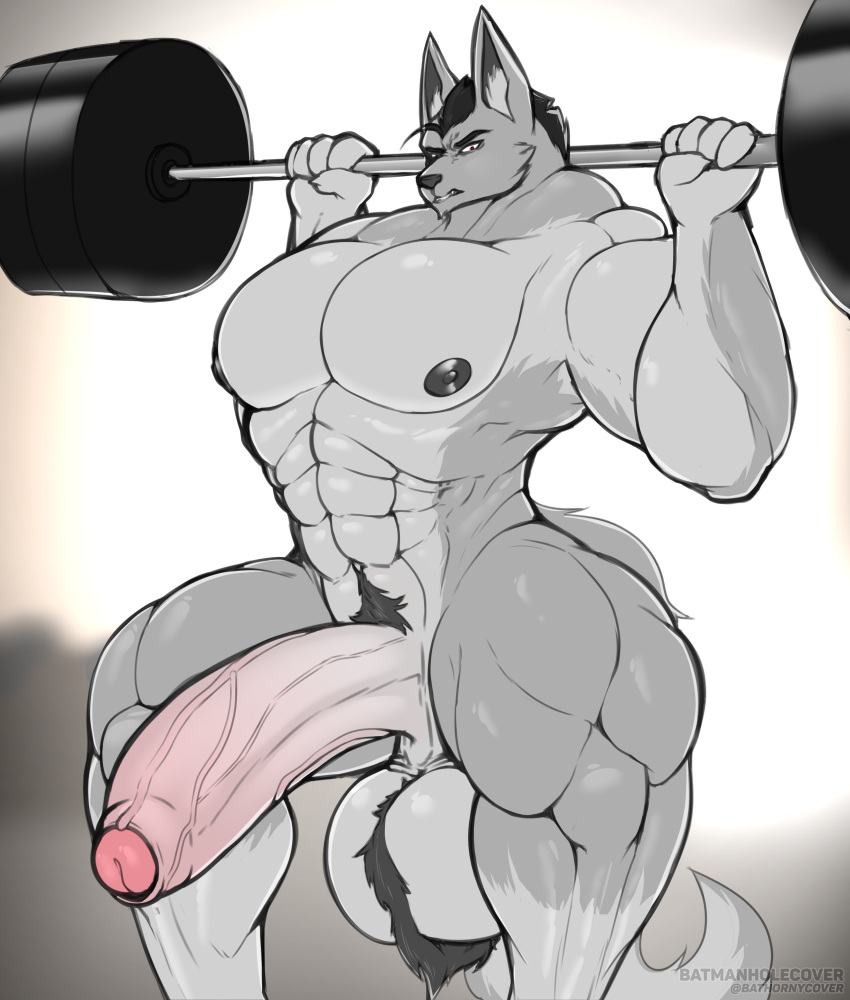 abs absurd_res anthro balls barbell batmanholecover biceps body_hair canid canine dan_(batmanholecover) exercise foreskin genitals hair hairy_balls happy_trail hi_res lifting looking_at_viewer male mammal muscular muscular_anthro muscular_male muscular_thighs nipples nude pecs penis solo thick_thighs weightlifting weights workout