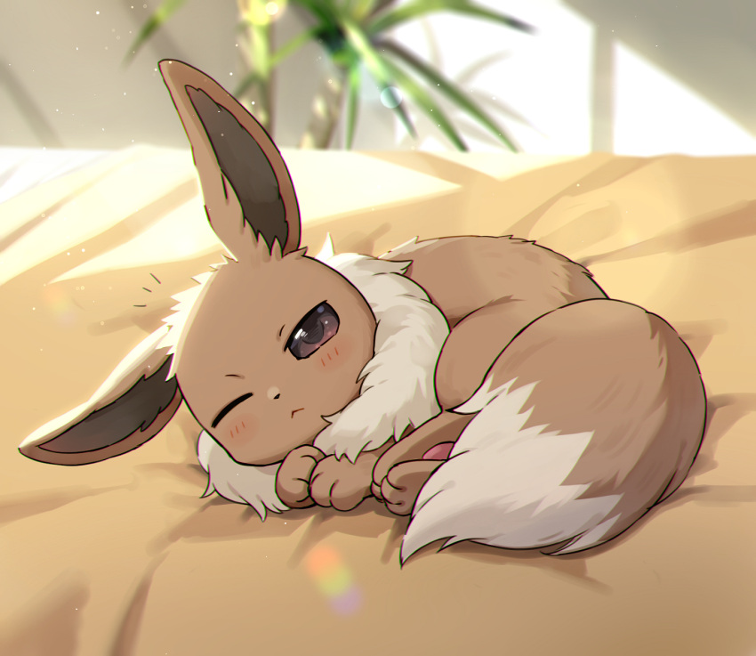 ;&lt; bed blurry blurry_background blush brown_eyes closed_mouth commentary_request day eevee highres indoors kaminokefusa lens_flare light_particles light_rays looking_at_viewer lying no_humans notice_lines on_bed one_eye_closed plant pokemon pokemon_(creature) solo sunlight