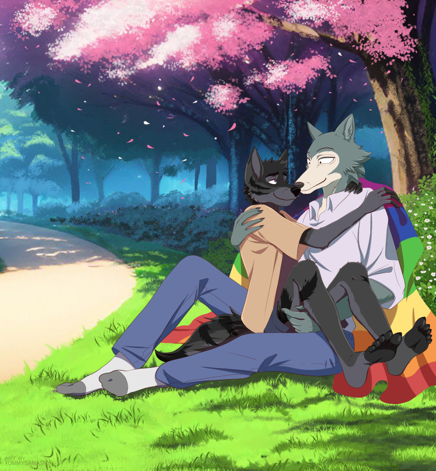 absurd_res alex_nightmurr anthro beastars canid canine canis clothing cuddling hi_res legoshi_(beastars) lgbt_pride male male/male mammal meadow outside shirt smile solo story story_in_description teenager tommysamash topwear wolf young