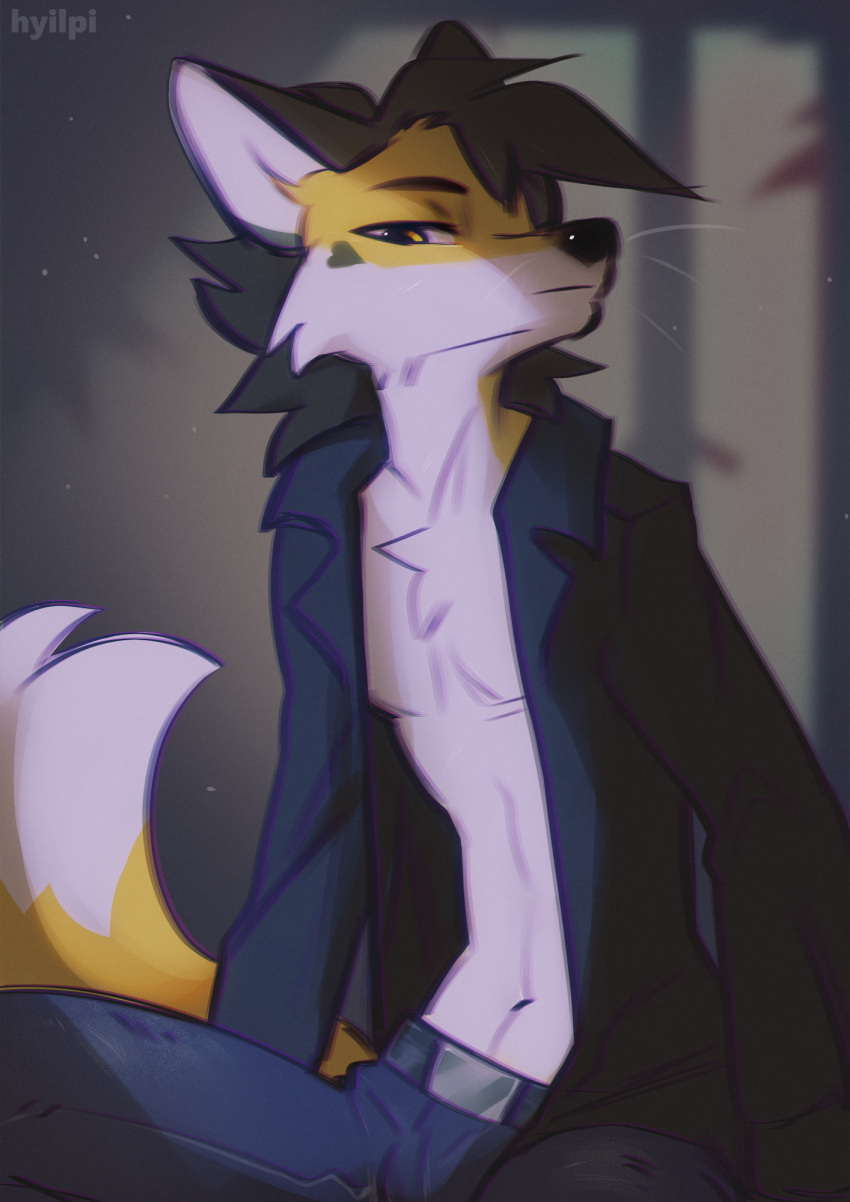 2023 anthro artist_name black_nose bottomwear canid canine clothed clothing digital_media_(artwork) fox fur hi_res hyilpi light lighting looking_at_viewer male mammal open_clothing open_shirt open_topwear pants shirt solo topwear whiskers white_body white_fur yellow_body yellow_fur