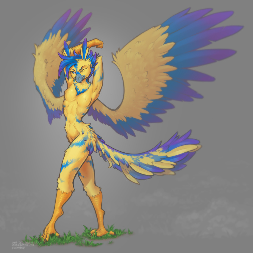 absurd_res anthro avian beak blue_eyes claws female grass hi_res one_eye_closed plant reaper3d simple_background sipping sketch solo standing stretching wings