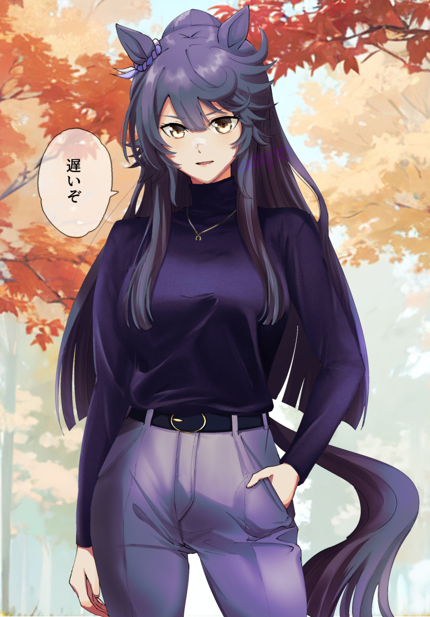 1girl alternate_costume animal_ears autumn_leaves bandaid bandaid_on_face bandaid_on_nose belt black_belt black_hair breasts commentary_request cowboy_shot ear_ornament hair_between_eyes hajimeru hand_in_pocket highres horse_ears horse_girl horse_tail jewelry long_hair long_sleeves looking_at_viewer medium_breasts narita_brian_(umamusume) necklace open_mouth outdoors pants purple_pants purple_sweater smile solo speech_bubble sweater tail translation_request tree turtleneck turtleneck_sweater umamusume very_long_hair yellow_eyes