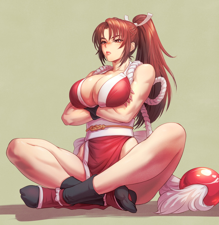 1girl absurdres bare_legs black_socks breasts brown_eyes brown_hair cleavage crossed_arms fatal_fury fujii_eishun full_body green_background hair_ornament high_ponytail highres japanese_clothes large_breasts lips long_hair muscular muscular_female nail_polish ninja ponytail revealing_clothes rope shiranui_mai simple_background sitting snk socks solo tabi the_king_of_fighters very_long_hair