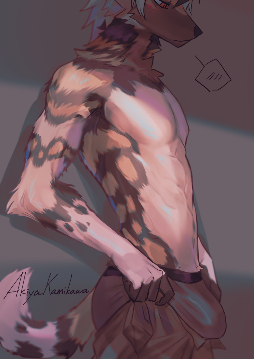 2023 absurd_res african_wild_dog akiya-kamikawa anthro blush bottomwear brown_body brown_fur bulge canid canine clothed clothing detailed_bulge fur hi_res male mammal pants solo topless topless_anthro topless_male underwear white_body white_fur