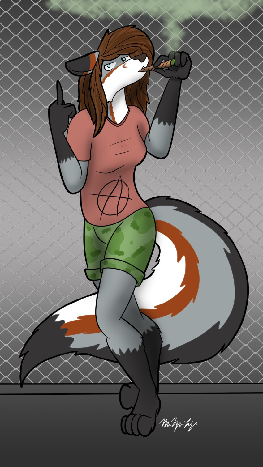 anthro black_body black_fur blue_eyes boots_(marking) brown_hair camo_bottoms canid canine chain-link_fence clothing countershading digitigrade drugs ear_tips female fence fur fur_markings gesture gloves_(marking) grey_body grey_fox grey_fur hair hi_res long_hair mackoons mammal marijuana markings middle_finger nova_era pink_clothing pink_shirt pink_topwear red_body red_fur shirt smoking_weed solo topwear urocyon white_body white_fur