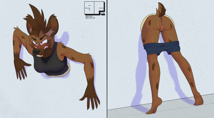 absurd_res angry animal_humanoid anthro arm_tuft barefoot blush bodily_fluids bottomwear breasts brown_body brown_fur butt clothed clothing digital_media_(artwork) elbow_tuft feet female fur fur_tuft gamesfan genitals hair hi_res humanoid hyena inner_ear_fluff mammal multiple_perspectives partially_clothed pussy short_tail signature simple_background solo solo_focus spots spotted_body spotted_fur struggling sweat sweat_stain sweatdrop tail teeth through_wall tiptoes topwear trapped tuft