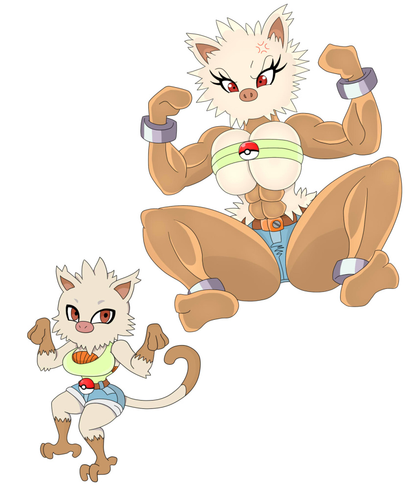 abs angry anthro big_breasts bottomwear breasts brown_body clothing cross-popping_vein duo female fur generation_1_pokemon hi_res huge_breasts mankey muscular muscular_female nintendo pokeball pokemon pokemon_(species) primeape red_eyes shirt shorts simple_background tail topwear urusee584 white_background white_body white_fur