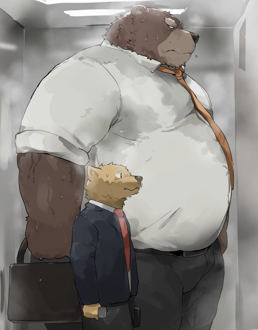 2023 anthro bear black_nose bodily_fluids bottomwear brown_body brown_fur canid canine canis clothing domestic_dog duo elevator fur hi_res iwbsb_kuma kemono male mammal musk necktie overweight overweight_male pants shirt size_difference sweat topwear