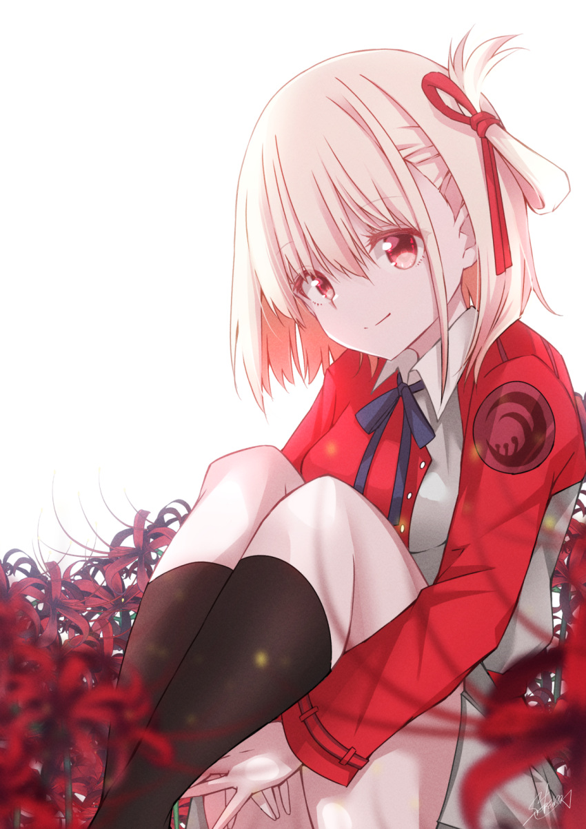 1girl blonde_hair blue_ribbon blurry closed_mouth commentary depth_of_field eyelashes eyes_visible_through_hair feet_out_of_frame flower grey_skirt hair_between_eyes hair_ribbon highres hugging_own_legs jacket kneehighs knees_up legs_together long_sleeves looking_at_viewer lycoris_recoil lycoris_uniform medium_hair miniskirt neck_ribbon nishikigi_chisato one_side_up red_eyes red_flower red_jacket red_ribbon ribbon signature simple_background sitting skirt smile socks solo spider_lily straight_hair tareme thighs white_background yanagiba_sakana