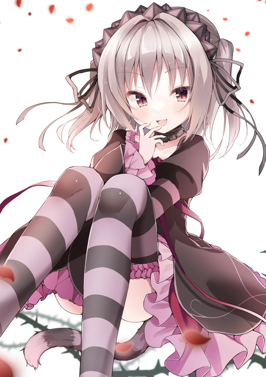 1girl :d black_dress black_hairband black_ribbon blush cat_tail commentary convenient_leg dress english_commentary eyelashes falling_petals fang feet_out_of_frame frilled_dress frilled_sleeves frills grey_hair hair_between_eyes hair_intakes hair_ribbon hairband hand_up hapymaher highres juliet_sleeves knees_together_feet_apart knees_up long_sleeves looking_at_viewer naitou_maia open_mouth petals plant puffy_sleeves red_eyes ribbon simple_background sitting slit_pupils smile solo striped striped_thighhighs tail takepoison thighhighs two_side_up vines white_background