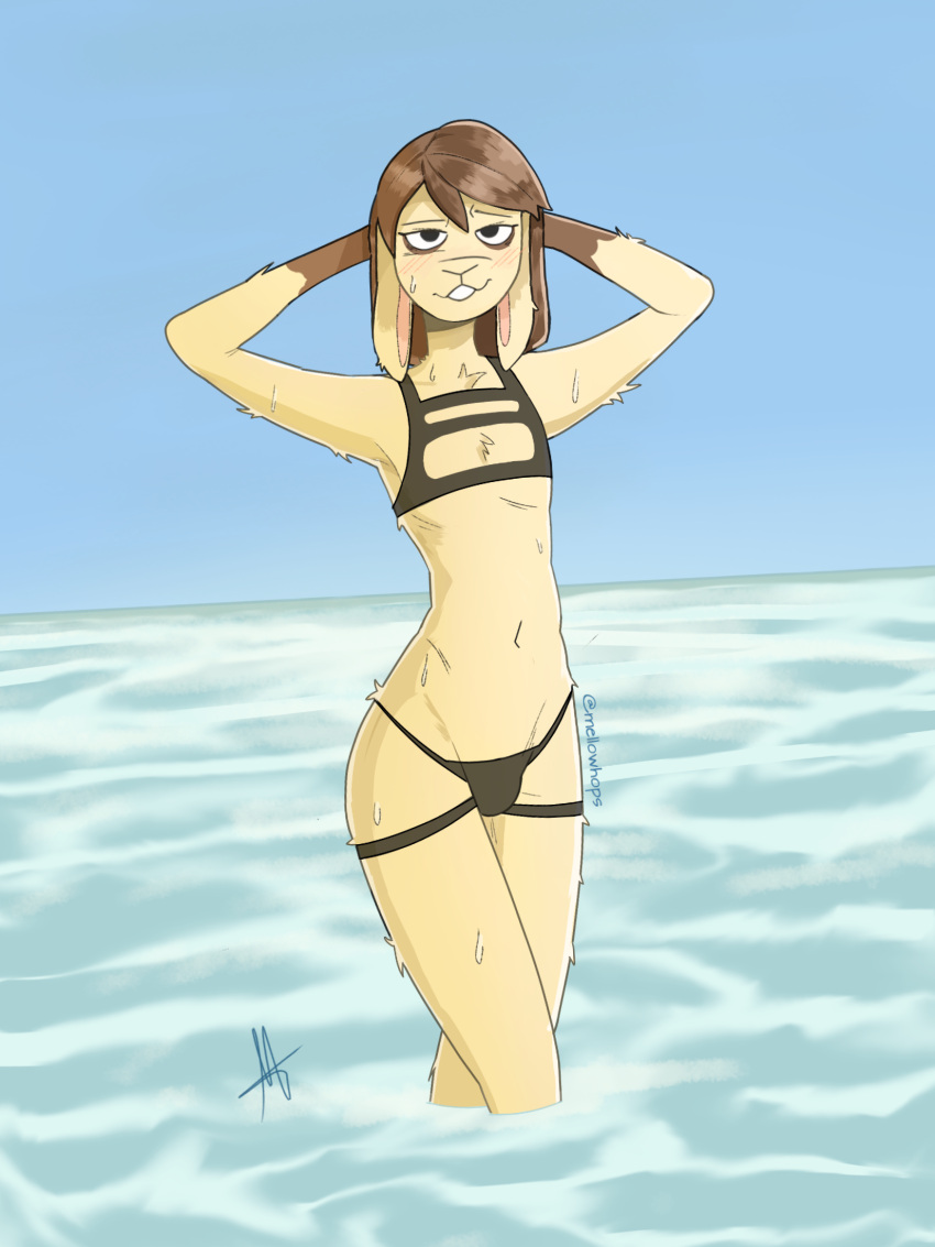 beach brown_hair clothing cute_eyes female fluffy fur genitals girly hair hi_res humanoid lagomorph leporid male male/female mammal mellow_hops mellowhops penis rabbit sea seaside solo swimwear tan_body tan_fur water