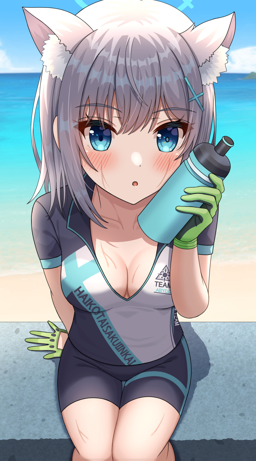 1girl absurdres animal_ear_fluff animal_ears beach bike_jersey blue_archive blue_eyes blush bottle breasts cleavage cross_hair_ornament cycling_uniform gloves green_gloves grey_hair hair_ornament halo highres hisui_(user_zvkr2432) holding holding_bottle horizon looking_at_viewer medium_breasts medium_hair ocean official_alternate_costume open_mouth outdoors shiroko_(blue_archive) shiroko_(cycling)_(blue_archive) sitting solo sweat two-tone_gloves water_bottle wolf_ears