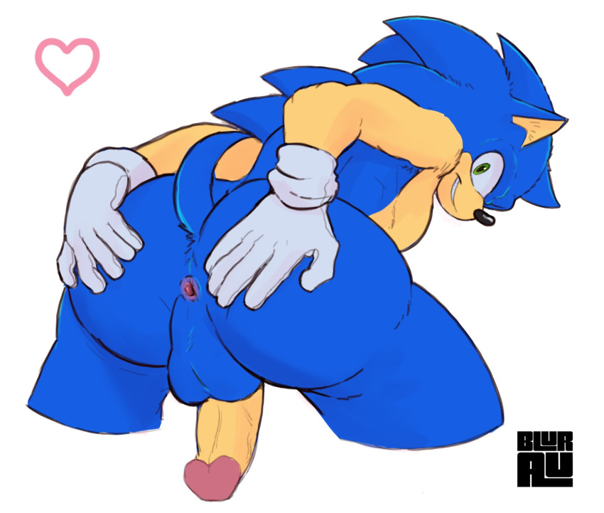 anthro anus balls blurau butt genitals hi_res looking_at_viewer looking_back male penis presenting presenting_hindquarters sega solo sonic_the_hedgehog sonic_the_hedgehog_(series) spread_anus spread_butt spreading
