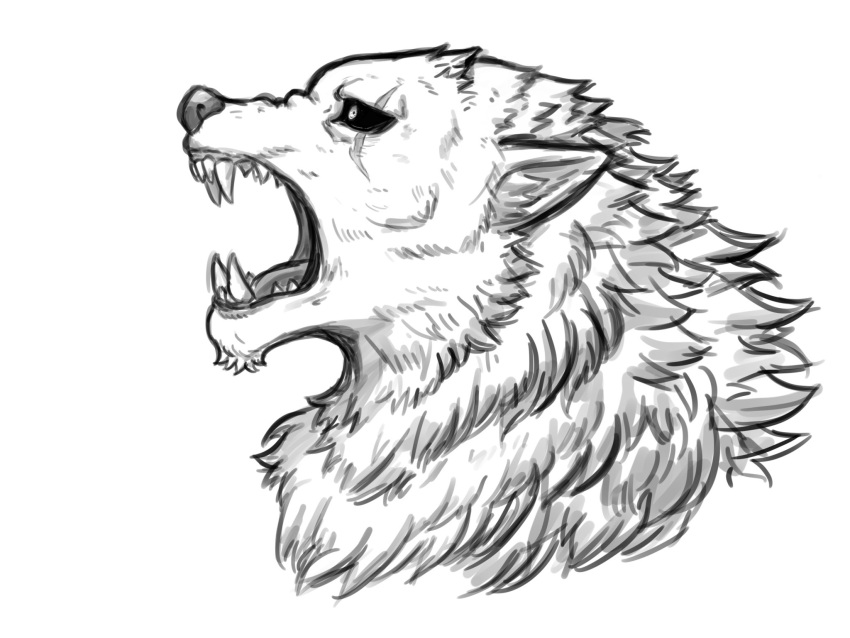 angry anthro canid canine canis dark_sclera dynogreeno fur hair hi_res male mammal monochrome neck_tuft open_mouth scar sharp_teeth solo teeth tongue tuft wolf wulfgard