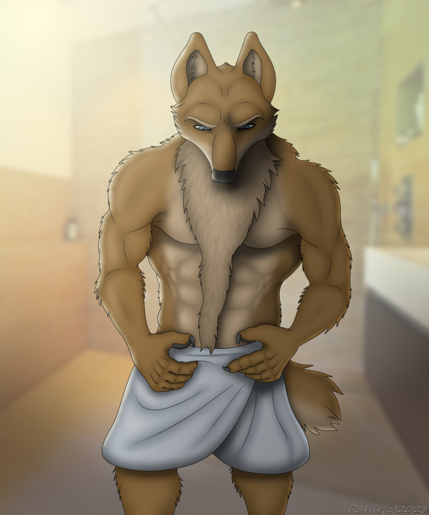 anthro bathroom canid canine canis digital_media_(artwork) domestic_dog hi_res male mammal pose shirtless solo towel