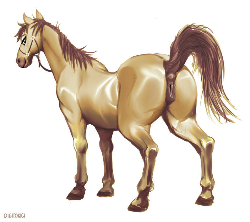 anatomically_correct anatomically_correct_anus anatomically_correct_genitalia anatomically_correct_pussy animal_genitalia animal_pussy anus brown_anus brown_mane brown_pussy butt digital_media_(artwork) digitoxici equid equine equine_anus equine_genitalia equine_pussy feral full-length_portrait fur genitals hi_res hooves horse looking_at_viewer mammal mane portrait presenting presenting_hindquarters pussy quadruped raised_tail simple_background smile smiling_at_viewer standing tail tan_body tan_fur