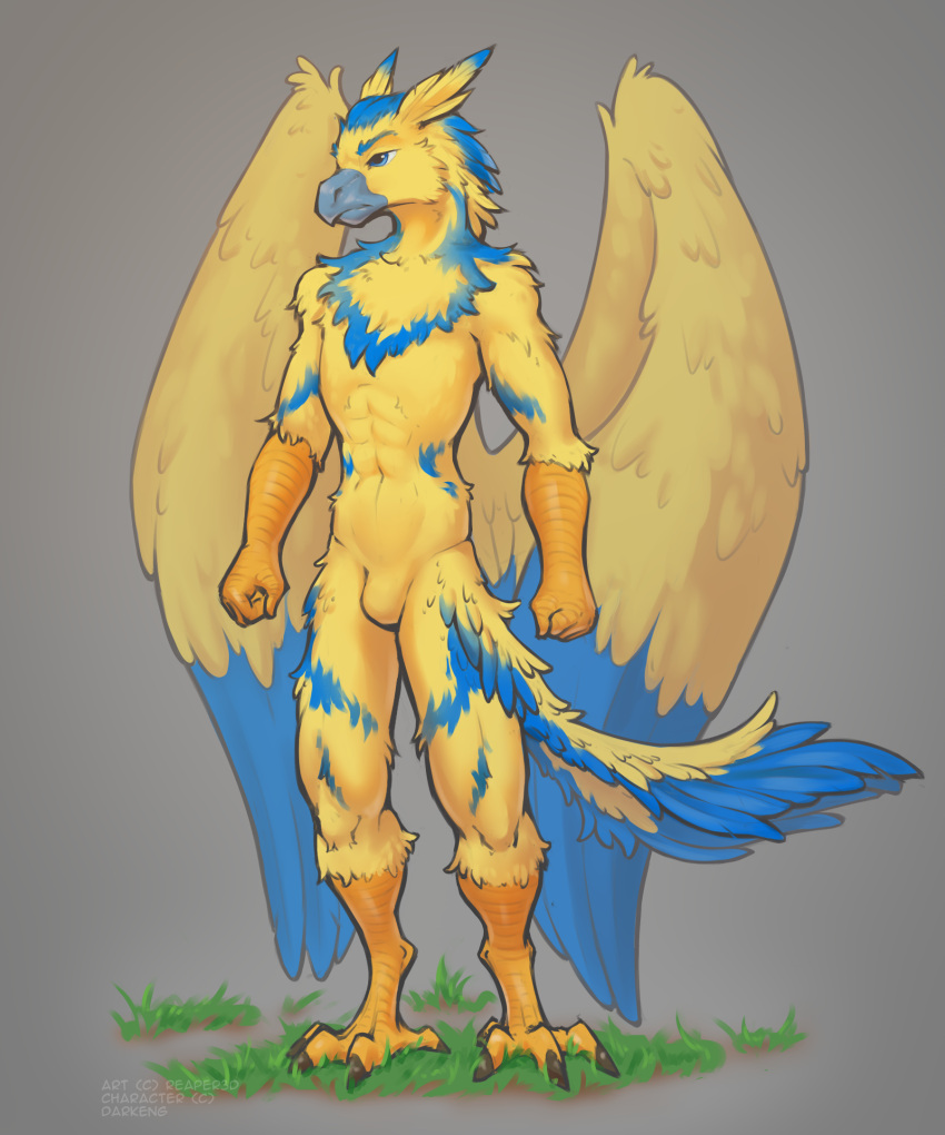 anthro avian beak blue_eyes claws darkeng grass hi_res male plant reaper3d simple_background sketch solo standing wings