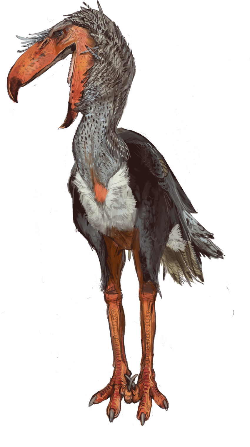 2023 absurd_res ambiguous_gender avian beak bird black_spots blue_eyes cariamiform digital_media_(artwork) feathers feral front_view grey_body grey_feathers hi_res kelenken looking_away mossa open_mouth orange_legs scales solo spots standing talons terror_bird wings_folded