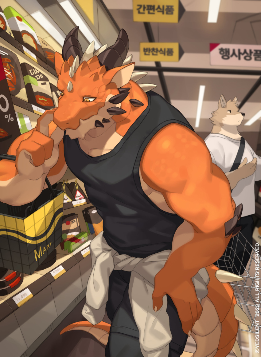 absurd_res anthro arm_spikes basket biceps bottomwear box canid canine claws clothed clothing container deltoids dragon duo elbow_spikes facial_spikes fully_clothed hand_on_leg hi_res horn jaw_spikes lights looking_down male mammal multicolored_body muscular muscular_male orange_eyes pants pecs public scales scalie shaded shirt shopping_cart sign solo_focus spiked_tail spikes spikes_(anatomy) standing sweater_around_waist tail tank_top text topwear triceps two_tone_body walking watermark yed
