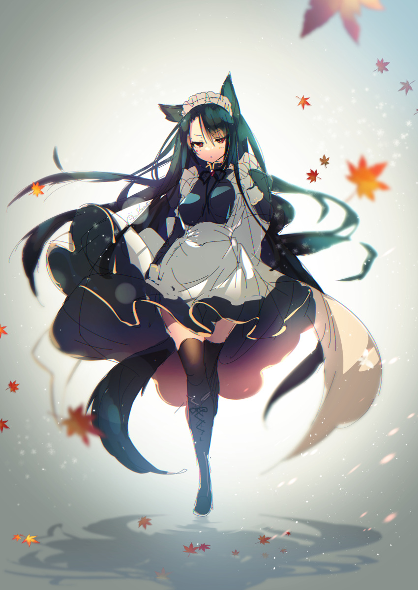 1girl :o animal_ears apron autumn_leaves black_dress black_footwear black_hair black_ribbon black_thighhighs blurry blurry_foreground boots breasts commentary_request cross-laced_footwear depth_of_field dress full_body hair_between_eyes highres lace-up_boots leaf long_hair looking_at_viewer maid maid_headdress maple_leaf medium_breasts neck_ribbon original parted_lips red_eyes ribbon shouna_mitsuishi sketch solo tail thighhighs thighhighs_under_boots very_long_hair white_apron