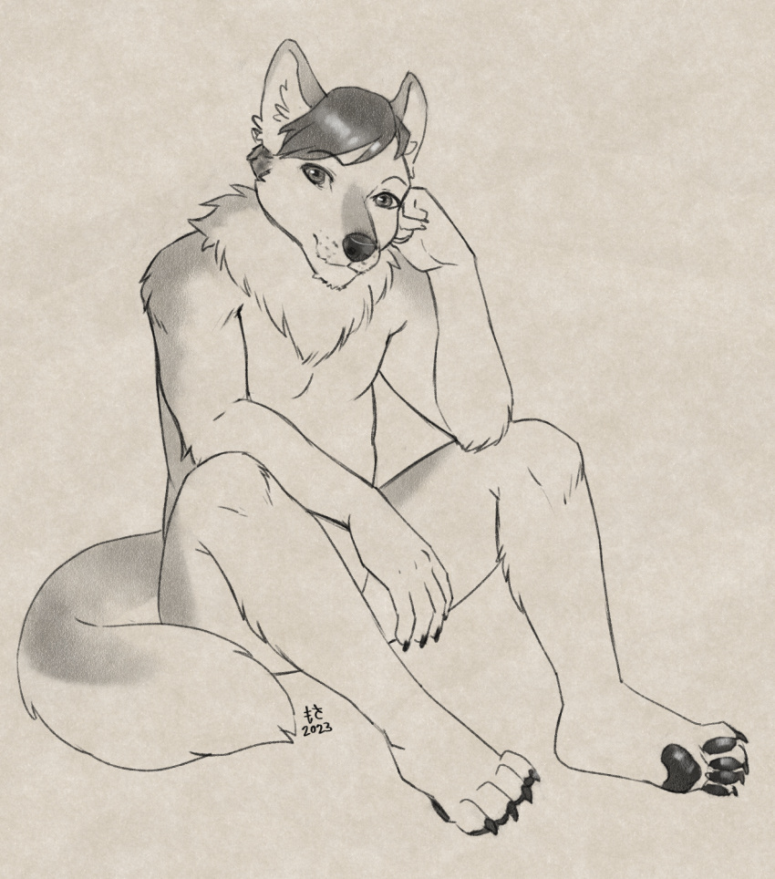 anthro canid canine canis hi_res line_art looking_at_viewer male mammal monochrome mosa sabbyth scruffy sitting solo solo_focus thinking wolf