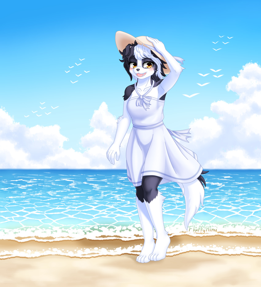 anthro beach black_body black_ears black_fur black_hair black_tail blush border_collie canid canine canis clothed clothing cloud collie domestic_dog dress female floppy_ears fluffy fluffy_hinu fluffy_tail fur hair hat headgear headwear herding_dog hi_res mammal multicolored_body multicolored_fur multicolored_hair pastoral_dog seaside sheepdog solo sun_hat tail two_tone_body two_tone_fur two_tone_hair white_body white_fur white_hair white_tail yellow_eyes