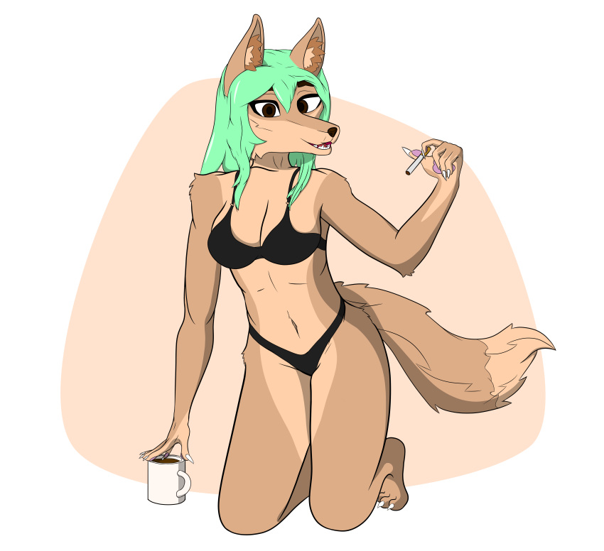 2023 absurd_res anthro athletic athletic_female beverage bikini bikini_bottom bikini_top bra brown_eyes canid canine canis cigarette clothed clothing coffee coffee_cup coffee_mug container cup domestic_dog female full-length_portrait fur green_hair hair hi_res kneeling long_hair looking_at_viewer looking_away mammal multicolored_body multicolored_fur muscular muscular_female navel panties phoxst portrait skimpy smoking solo solo_focus swimwear teal_hair underwear