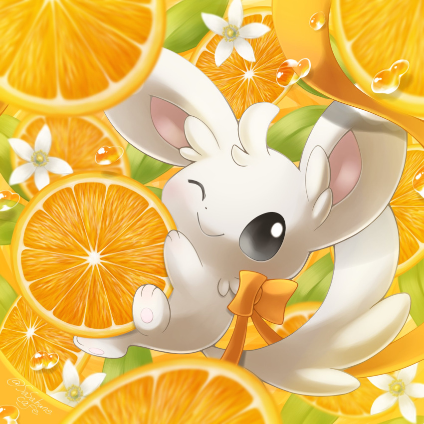 black_eyes closed_mouth flower fluffy food fruit grey_fur highres holding holding_food holding_fruit leaf minccino no_humans one_eye_closed orange_(fruit) orange_ribbon pokemon ribbon sasabunecafe smile solo tail twitter_username water_drop