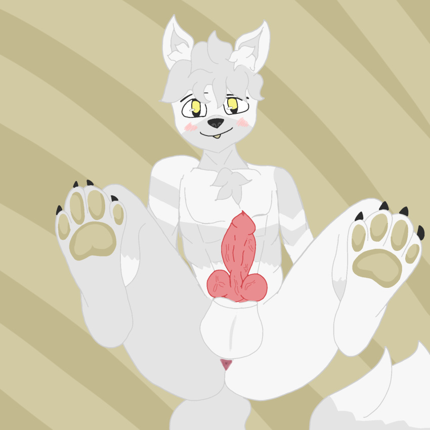 animal_genitalia animal_penis anthro anus arctic_fox astrafcn blush canid canine canine_genitalia canine_penis foot_fetish fox genitals hi_res looking_at_viewer male mammal pawpads paws penis solo tail