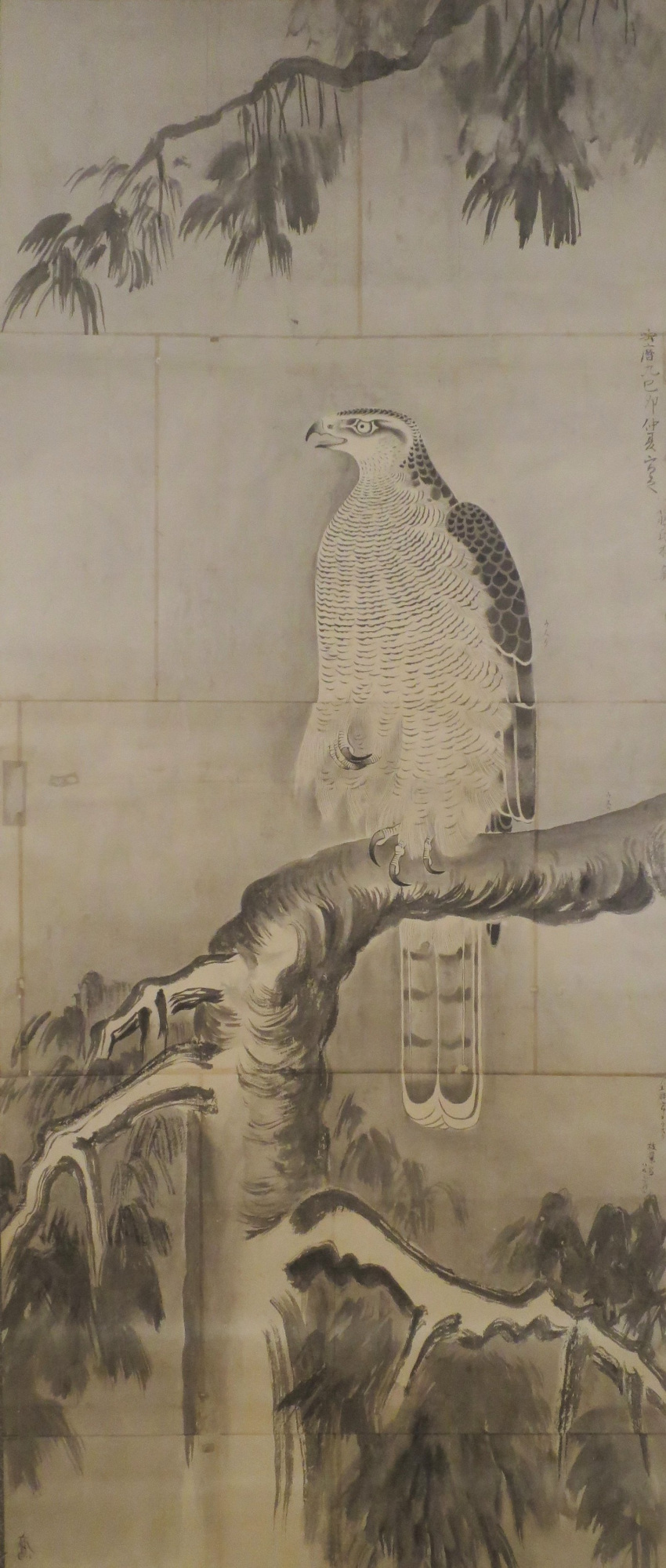 1759 18th_century absurd_res ambiguous_gender ancient_art avian beak bird black_body black_feathers branch falcon falconid feathered_wings feathers feet feral hi_res japanese_text multicolored_body multicolored_feathers on_branch open_mouth painting_(artwork) simple_background solo talons tan_background text toes traditional_media_(artwork) two_tone_body two_tone_feathers unknown_artist white_body white_feathers wings
