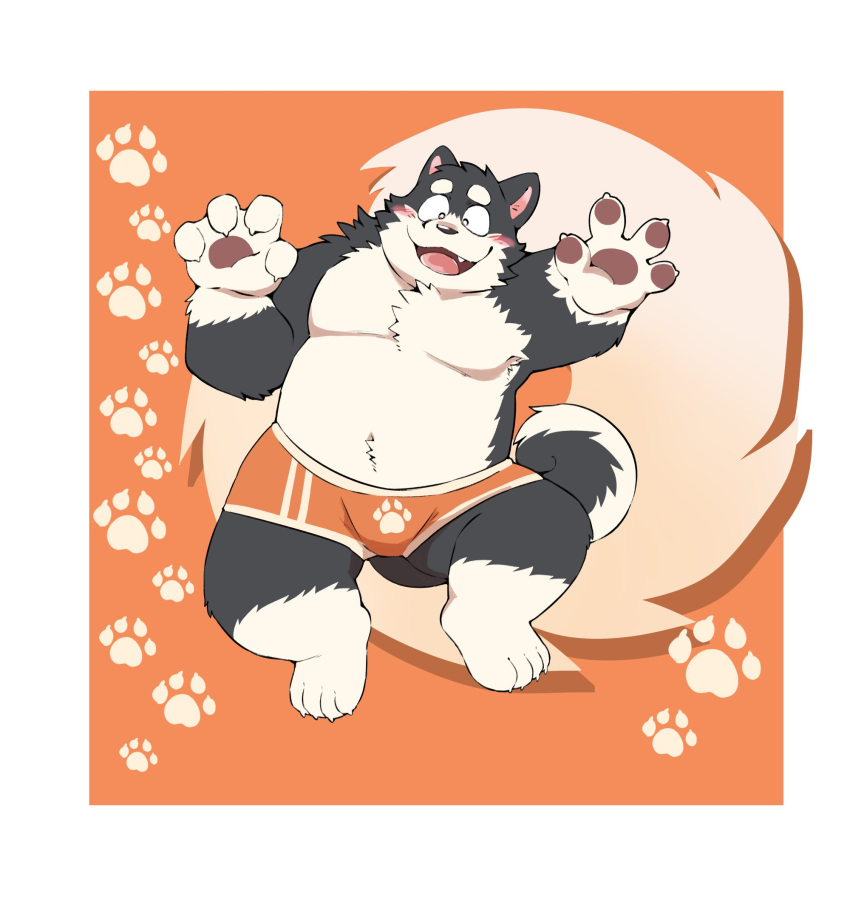 2023 4_fingers 4_toes anthro belly blush bulge canid canine canis clothing domestic_dog feet fingers ginnosuke hi_res humanoid_hands kemono male mammal moobs overweight overweight_male solo toes underwear
