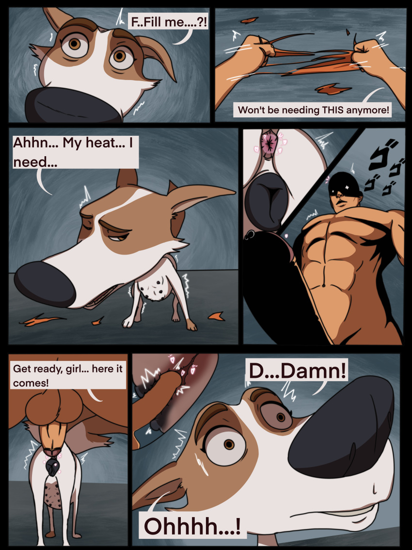 absurd_res all_fours anatomically_correct anatomically_correct_genitalia anatomically_correct_pussy animal_genitalia animal_pussy anus balls bestiality bodily_fluids canid canine canine_genitalia canine_pussy canis close-up clothing comic domestic_dog duo female feral froki genital_fluids genitals hi_res human human_on_feral imminent_sex in_heat internal internal_vaginal interspecies jojo's_bizarre_adventure male male/female mammal menancing multi_nipple nipples nude on_ground pecs penetration penis penis_on_butt pussy pussy_juice sex shacking space_dogs strelka surprise surprised_expression tail tearing_clothing text torn_clothing vaginal vaginal_penetration