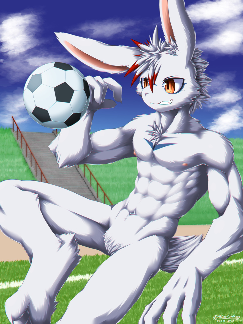 abs absurd_res akino-kamihara anthro athletic athletic_male ball bulge clothing crotch_tuft grass handwear hi_res lagomorph leporid male mammal navel nipples nude outside plant rabbit signature sky soccer_ball solo stairs teenager tomoshibi_shirohane_(akino-kamihara) tuft watermark young