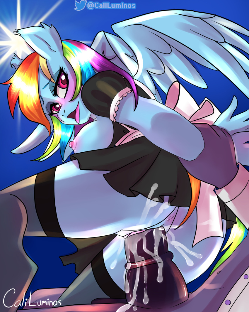 absurd_res anthro bronie caliluminos clothing duo equid equine female friendship_is_magic hasbro hi_res horse invalid_tag maid_uniform male male/female mammal my_little_pony pegasus pony rainbow_dash_(mlp) sex uniform wings ych