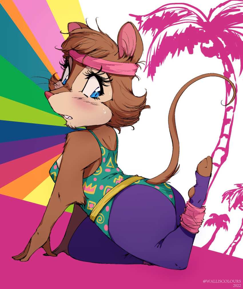 abstract_background accessory anthro blue_eyes brown_body brown_fur clothing don_bluth exercise_clothing feet female fitness fur headband hi_res leg_warmers legwear leotard mammal mouse mrs._brisby murid murine palm_tree plant rodent solo the_secret_of_nimh tree walliscolours