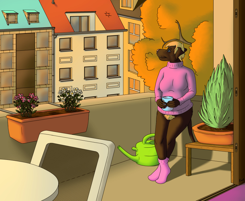 2022 absurd_res anthro autumn balcony bird_dog blonde_hair blonde_pubes bottomless bottomless_female brown_body brown_fur canid canine canis casual_nudity city clothed clothing domestic_dog female footwear fur hair hi_res hunting_dog kinaj labrador leaf mammal marie_(kinaj) mug plant plant_pot pubes retriever socks solo sweater topwear watering_can yellow_leaves