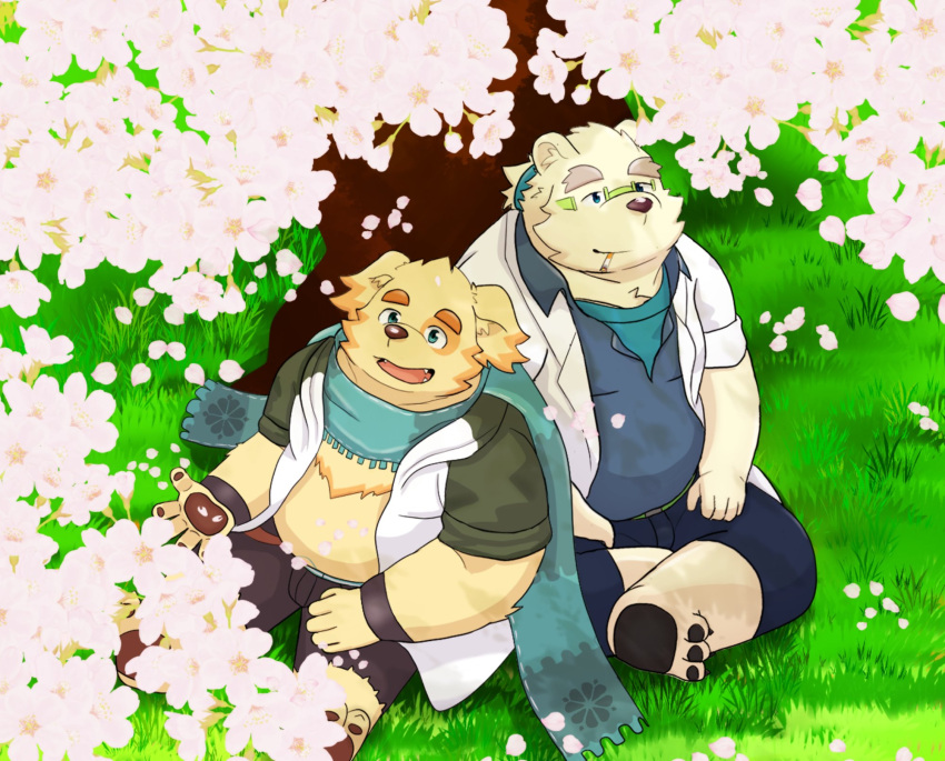 anthro bear bird_dog canid canine canis cherry_blossom cu_sith_(tas) domestic_dog duo eyewear fur glasses golden_retriever hi_res hunting_dog leib_(tas) lifewonders male male/male mammal necktie niaor27 pawpads plant polar_bear retriever sitting tokyo_afterschool_summoners ursine white_body white_fur yellow_body yellow_fur