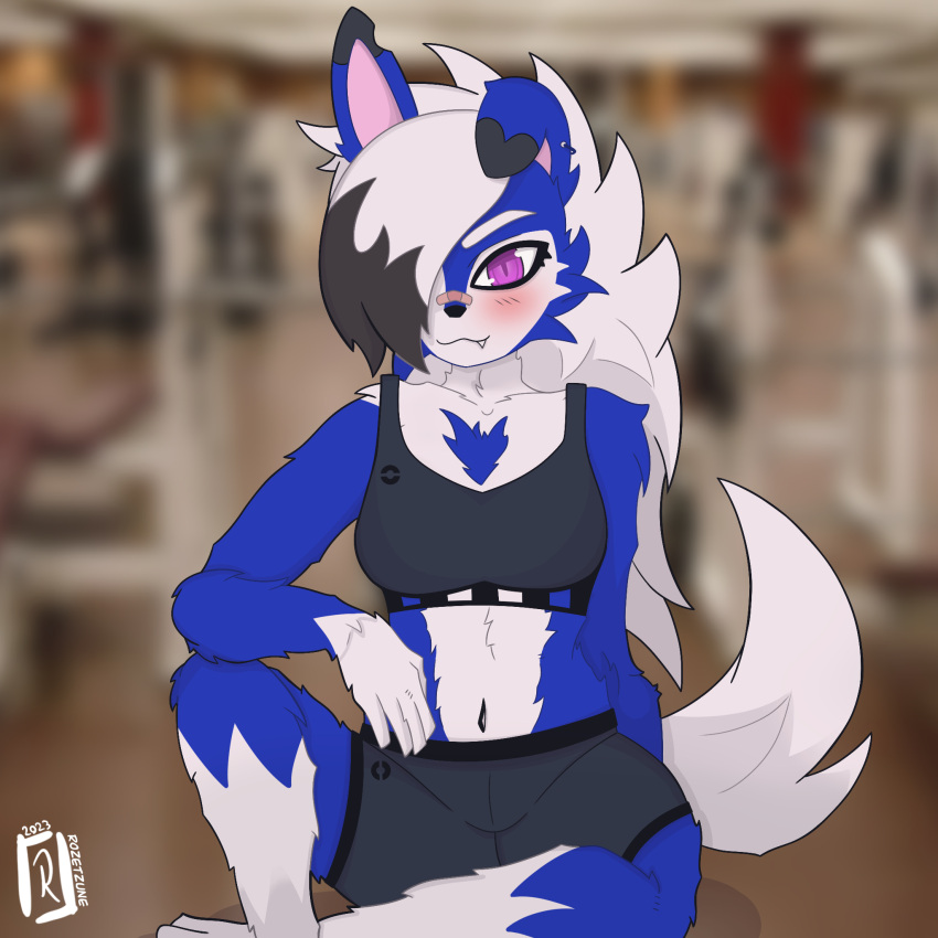 1:1 anthro breasts ear_piercing ear_ring female generation_7_pokemon gym gym_clothing hi_res lycanroc medium_breasts nintendo piercing pokemon pokemon_(species) ring_piercing rozetzune shiny_pokemon solo