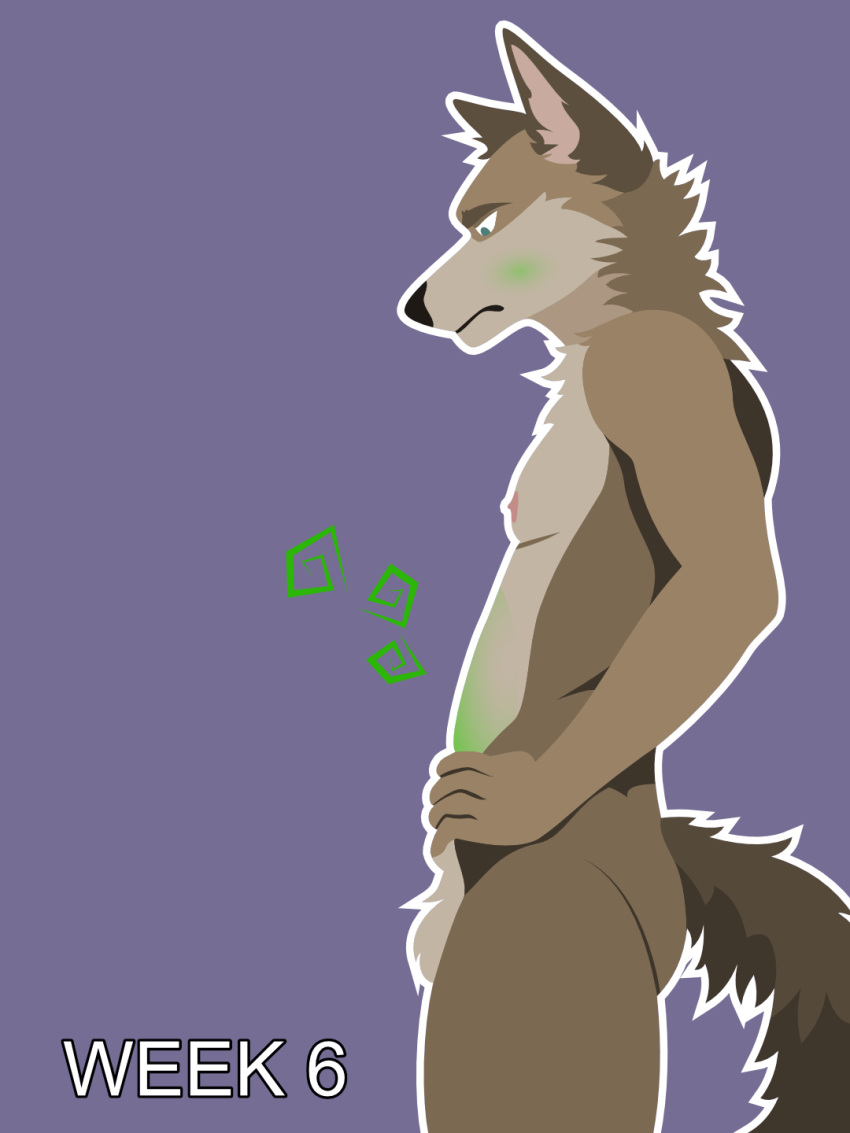 3:4 anthro balls billybobjoey canid canine canis coyote flat_chested flat_shading fuzzy_balls genitals green_eyes hi_res ill male mammal nausea neck_tuft nipples nude outline pregnant pregnant_male progression series side_view simple_background slim solo tail text tuft vector