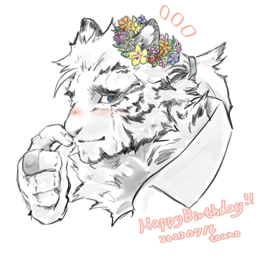 1boy animal_ears arknights blue_eyes blush collared_shirt cropped_shoulders flower_wreath furry furry_male happy_birthday head_wreath highres male_focus mountain_(arknights) mountain_(book_reader)_(arknights) rubbing_nose scar scar_across_eye shirt short_hair shy smile solo thick_eyebrows tiger_boy tiger_ears touno_(akarino) white_fur white_hair