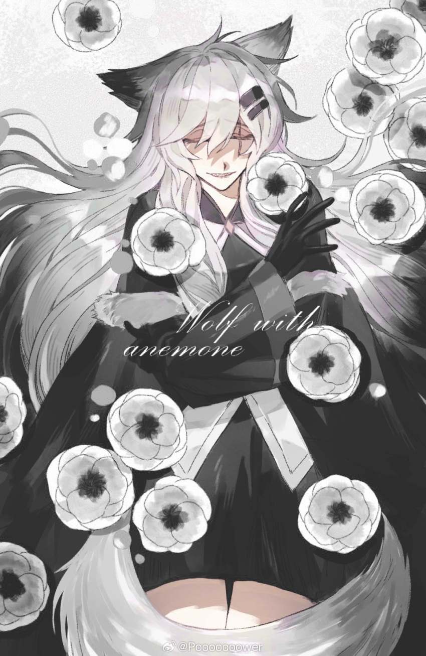 1girl ahoge anemone_(flower) animal_ear_fluff animal_ears arknights artist_name bare_legs black_coat black_dress black_gloves blooming breasts chinese_commentary closed_eyes coat collared_coat commentary_request cowboy_shot cursive dress english_commentary english_text eyelashes facing_viewer falling_flower falling_petals floating_hair flower fur-trimmed_coat fur-trimmed_sleeves fur_trim furrowed_brow gloves grey_background grey_hair grey_tail hair_between_eyes hair_flowing_over hair_ornament hairclip hands_up highres lappland_(arknights) lappland_(refined_horrormare)_(arknights) layered_sleeves lips long_bangs long_hair long_sleeves medium_breasts messy_hair mixed-language_commentary official_alternate_costume outstretched_hand pale_color pale_skin parted_lips petals pooooooower scar scar_across_eye scar_on_face self_hug shadow sharp_teeth short_dress short_over_long_sleeves short_sleeves smile solo standing tail teeth variant_set very_long_hair vest watermark weibo_logo weibo_username white_flower white_petals white_vest wide_sleeves wolf_ears wolf_girl wolf_tail