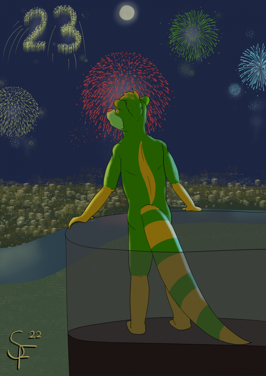 2022 anthro digital_drawing_(artwork) digital_media_(artwork) fireworks fur green_body green_fur hair hi_res holidays humanoid hybrid male mammal multicolored_body multicolored_fur mustelid natsu_hasegawa natsutheott new_year new_year_2023 orange_body orange_fur otter procyonid raccoon red_eyes solo tail text