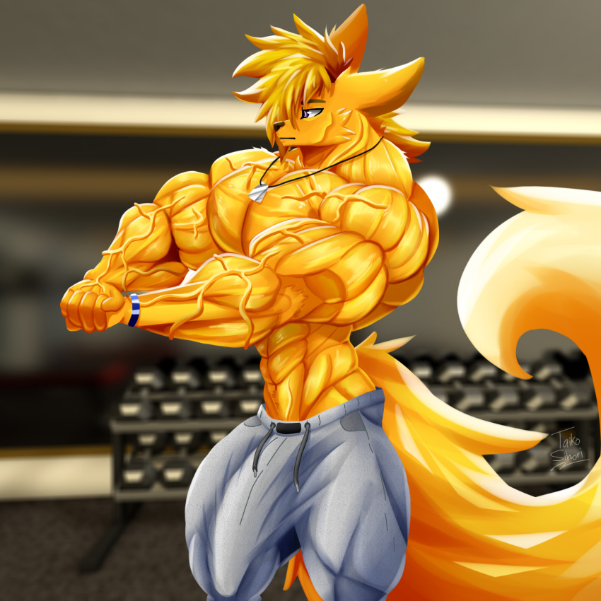 1:1 abs anthro biceps big_bulge big_muscles blonde_hair blurred_background bottomwear bracelet bulge canid canine clothed clothing dog_tags fennec flexing fox fur gym hair hi_res huge_biceps huge_muscles huge_triceps jewelry long_tail male mammal muscular muscular_anthro muscular_male necklace obliques pants partially_clothed pecs plant pose purple_eyes solo standing sweatpants taiko-sihori tail tree v-cut vein veiny_arms veiny_muscles yellow_body yellow_fur