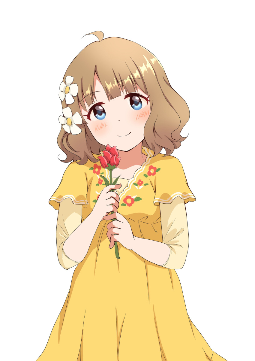 1girl absurdres ahoge blue_eyes blush brown_hair child commentary dot_nose dress floral_print flower hair_flower hair_ornament highres holding holding_flower idolmaster idolmaster_million_live! long_sleeves looking_at_viewer red_flower red_rose rose short_hair smile solo suou_momoko symbol-only_commentary wavy_hair white_background yellow_dress yukiho_kotori